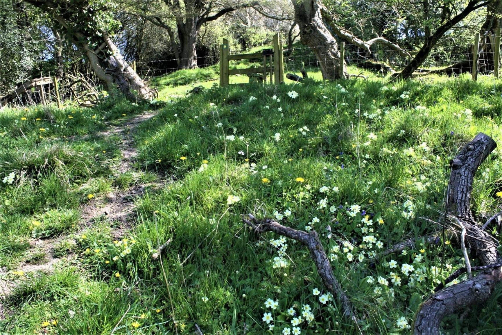 Tranquil Countryside Cottage For Two Ρέξαμ Εξωτερικό φωτογραφία